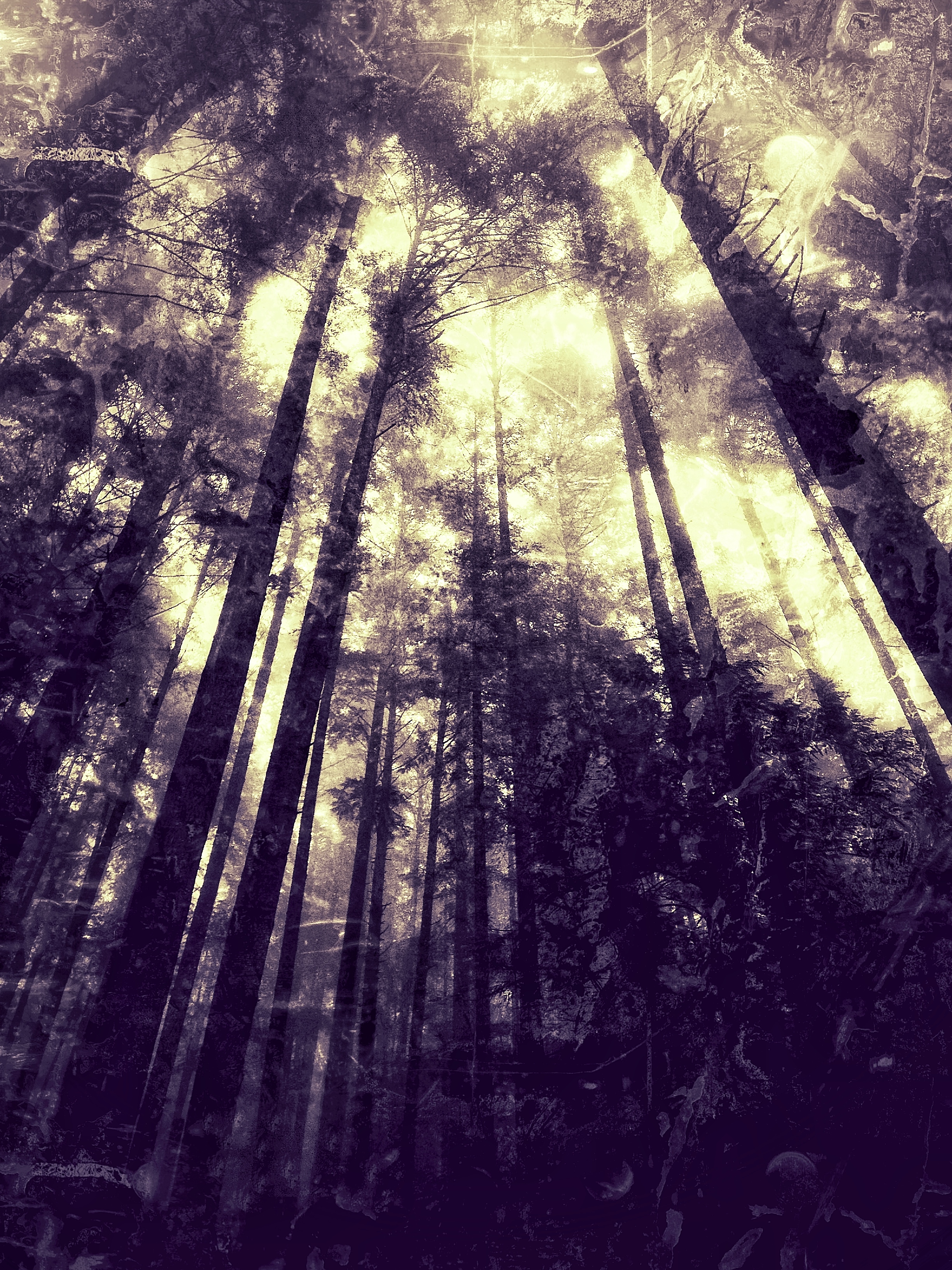 Wallace Falls State Park