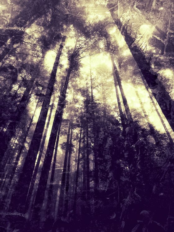 Wallace Falls State Park