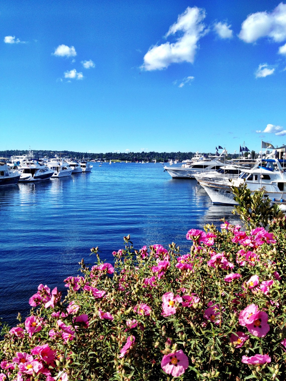 East Lake 3 East Lake 3