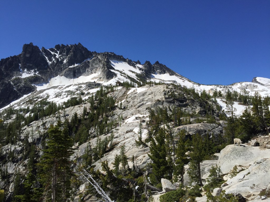 enchantments climb up 1